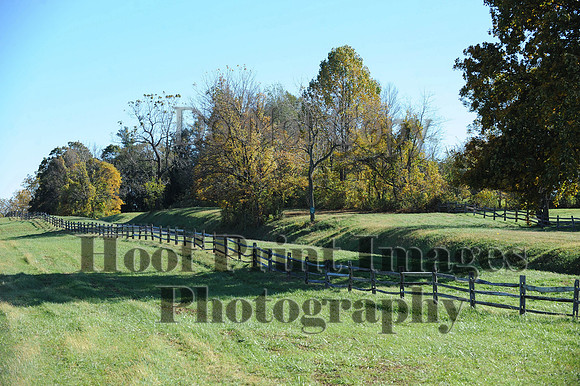 Cheshire(10-19-14)0372