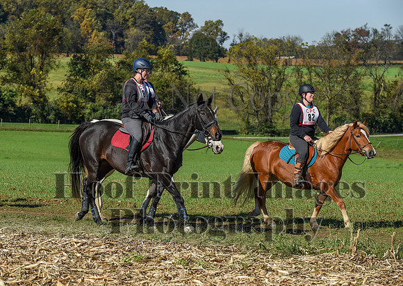 CheshirePC(10-18-20)0390