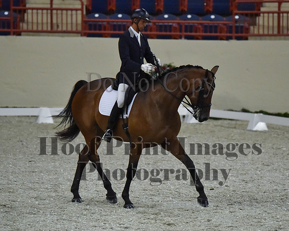 CWdressageII(8-21-16)2239