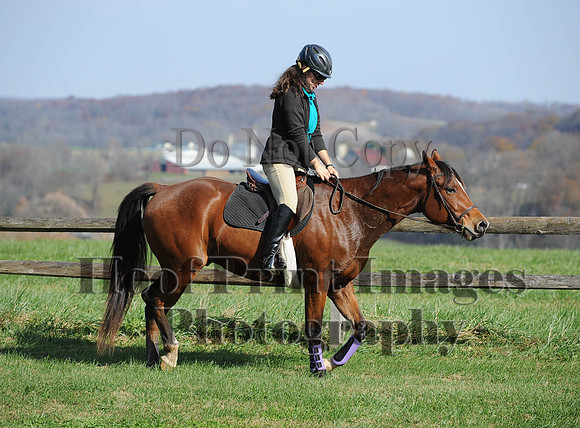 AndrewsBr(11-9-14)0102