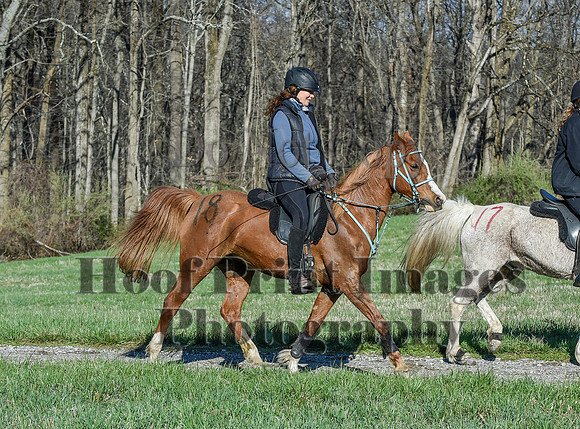 ChesapeakeSpring(4-10-22)0511