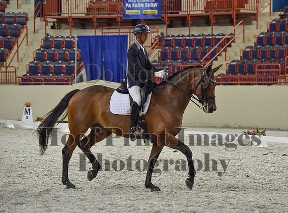 CWdressageI(8-20-16)1347