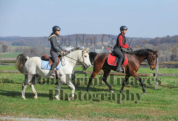 AndrewsBr(11-9-14)0118