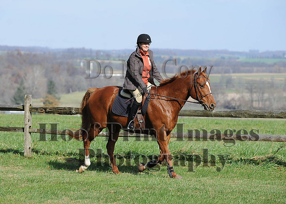 AndrewsBr(11-9-14)0084
