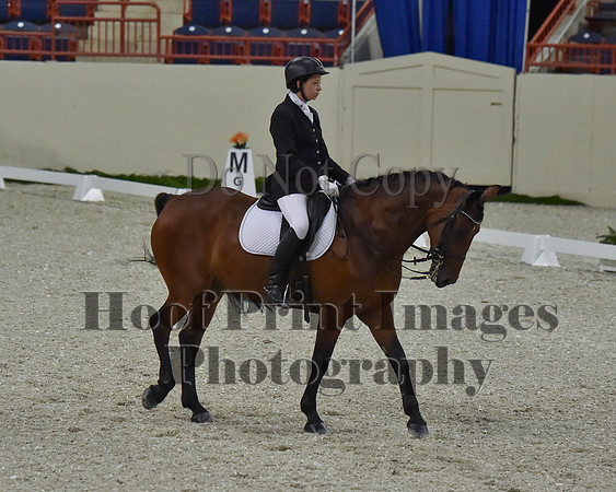 CWdressageII(8-21-16)1615