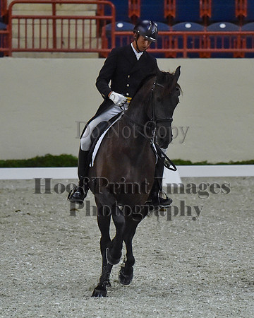 CWdressageII(8-21-16)1806