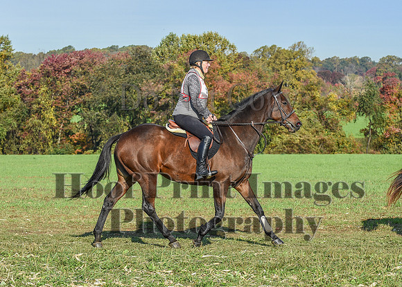 CheshirePC(10-18-20)0068