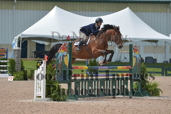 BRSa(5-17-14)HChAdJ0171
