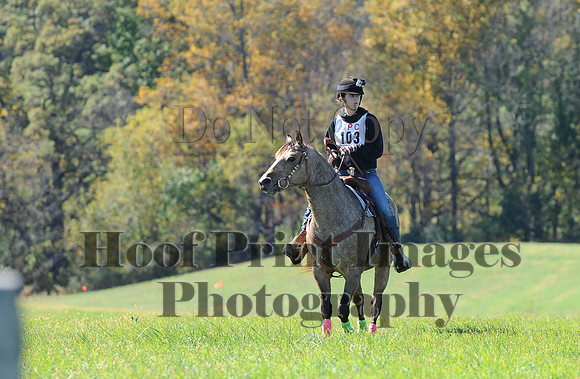 Cheshire(10-19-14)0046