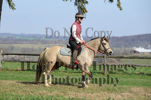 AndrewsBr(11-9-14)0069