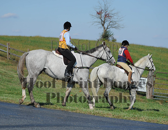 Cheshire(10-20-13)0482