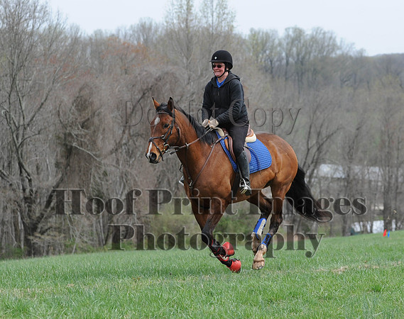FairhillPC(4-18-14)0120