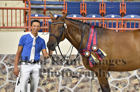 CWdressageI(8-20-16)1703