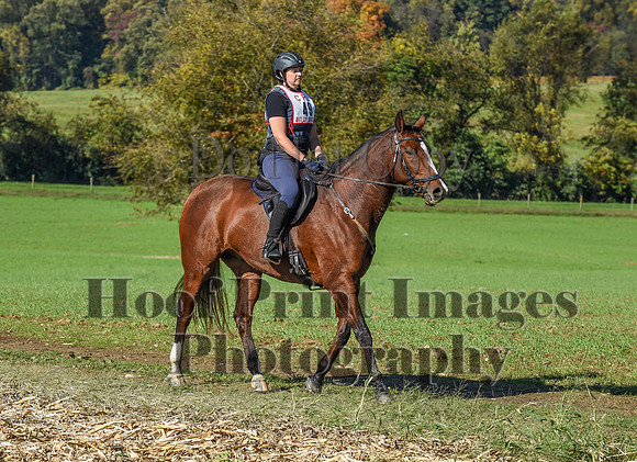 CheshirePC(10-18-20)0273