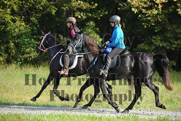 ChesapeakeCTR(9-20-14)0234