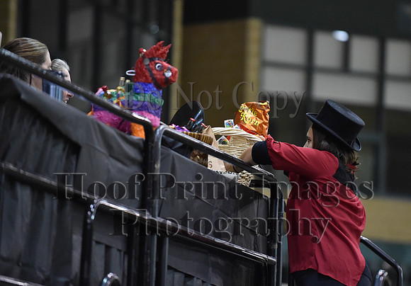 MidAtEqFest(11-14-15)1349