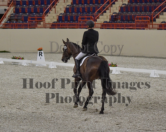 CWdressageII(8-21-16)0359