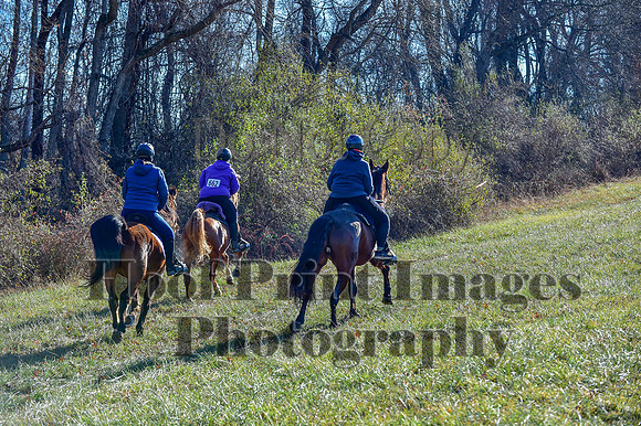 FairHillFallPC(11-30-24)0288