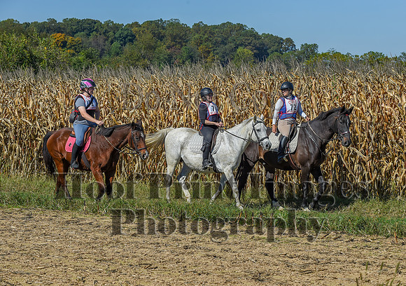 CheshirePonyClubPC(10-6-24)0279
