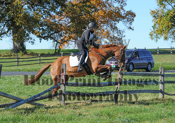 Cheshire(10-19-14)0375