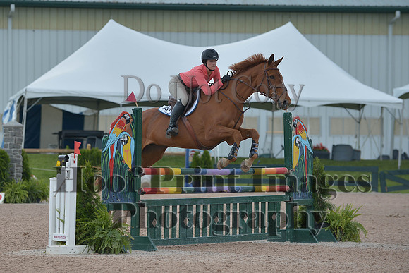 BRSa(5-17-14)HChAdJ0178