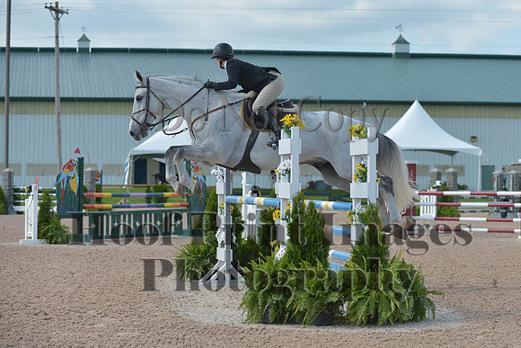 BRSa(5-17-14)HChAdJ0048