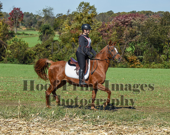 CheshirePC(10-18-20)0478