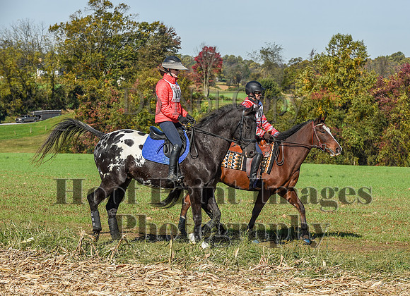 CheshirePC(10-18-20)0345