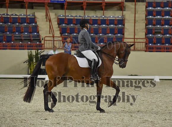 CWdressageI(8-20-16)1173