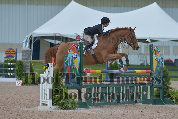 BRSa(5-17-14)HChAdJ0144