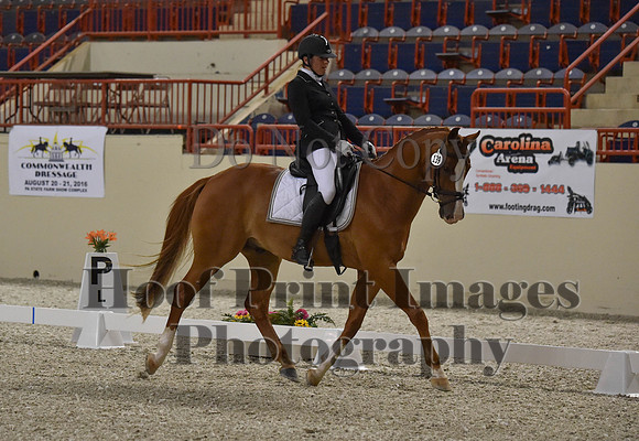 CWdressageI(8-20-16)0502