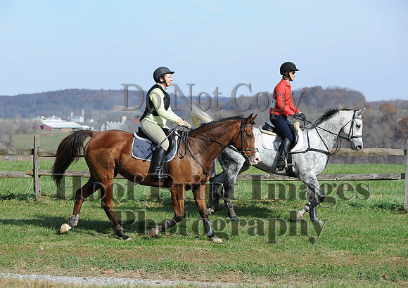 AndrewsBr(11-9-14)0275