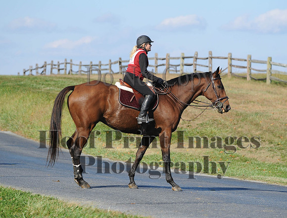 Cheshire(10-20-13)0711