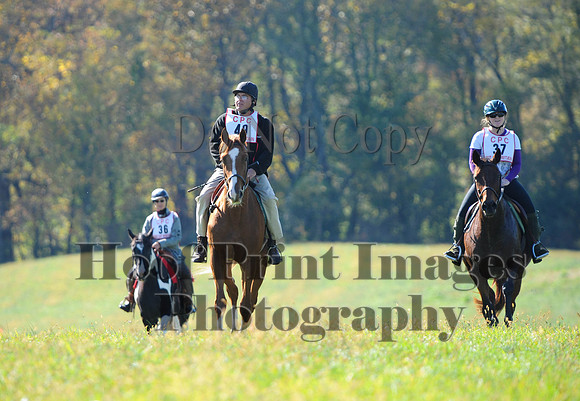 Cheshire(10-20-13)0564