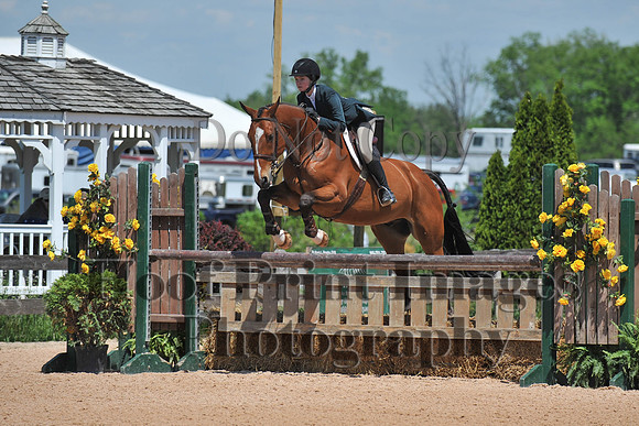 BRSu(5-18-14)USEF0014