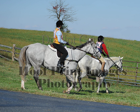 Cheshire(10-20-13)0483