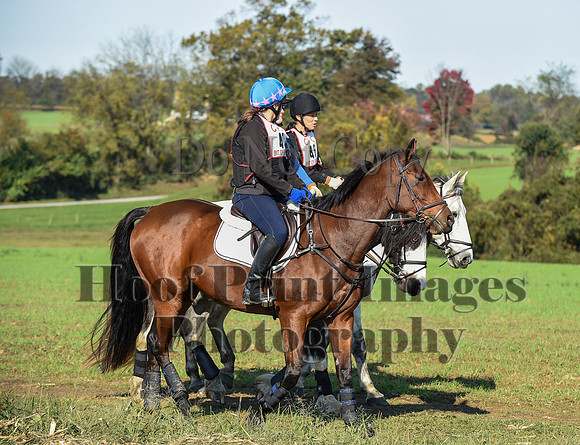 CheshirePC(10-18-20)0130
