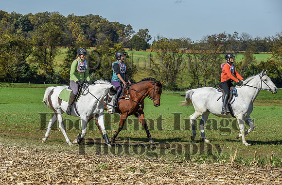 CheshirePC(10-18-20)0576