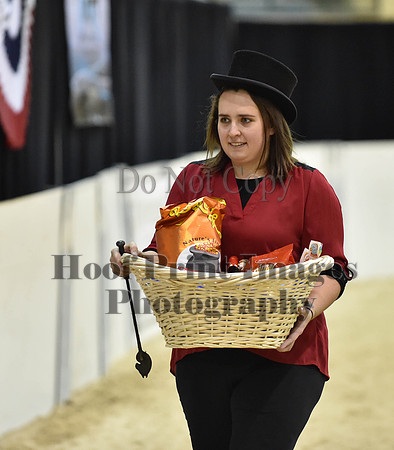 MidAtEqFest(11-14-15)1343