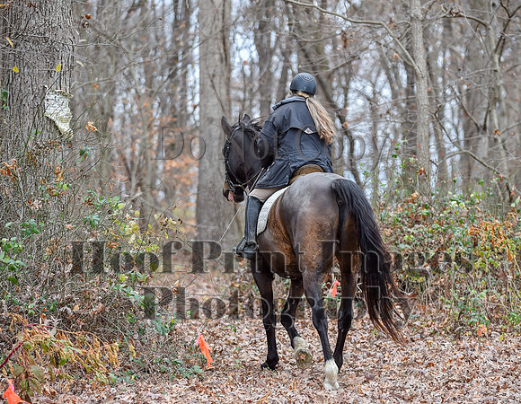 AndrewsBrHuntPace(11-10-24)0269