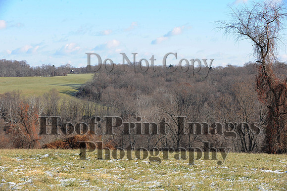 FairHill(11-28-14)0005