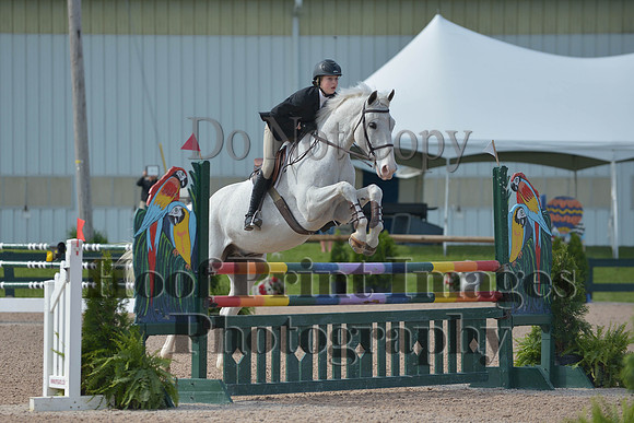 BRSa(5-17-14)HChAdJ0036