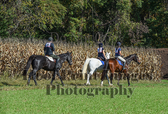 CheshirePonyClubPC(10-6-24)0203