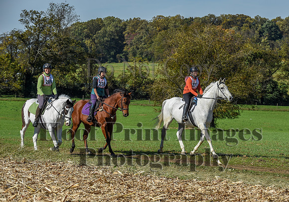 CheshirePC(10-18-20)0569
