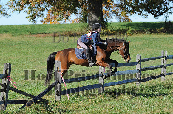 Cheshire(10-19-14)0495