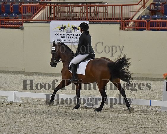 CWdressageII(8-21-16)1297