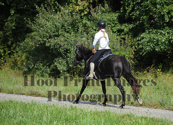 ChesapeakeCTR(9-20-14)0313