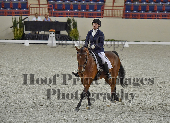 CWdressageI(8-20-16)0258