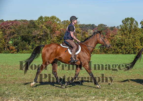 CheshirePC(10-18-20)0259