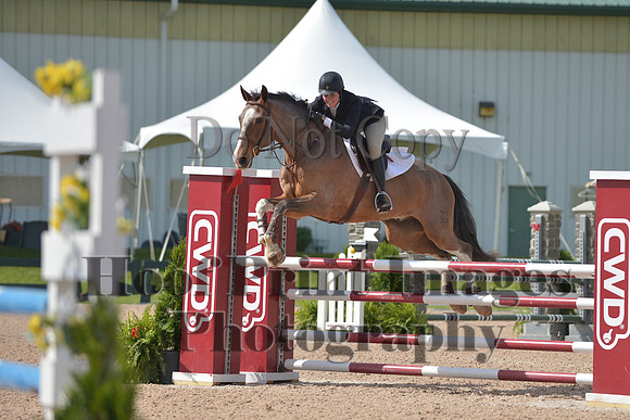 BRSa(5-17-14)HChAdJ0117